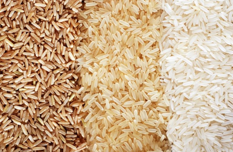 Rice worth US$ 223.937 million exported in two months