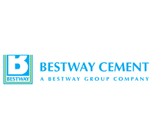 Bestway Cement delivers a disappointing financial performance in FY19
