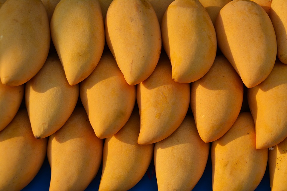 Pakistan plans to export 100,000 tons of mango to China in current fiscal year - Mettis Global News