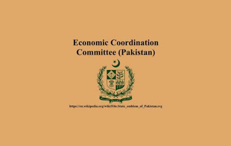 ECC approves “Single Window Bill” to facilitate businesses in Pakistan