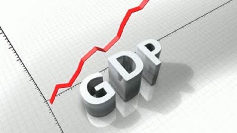 Government targets GDP growth rate at 4.8% for FY22