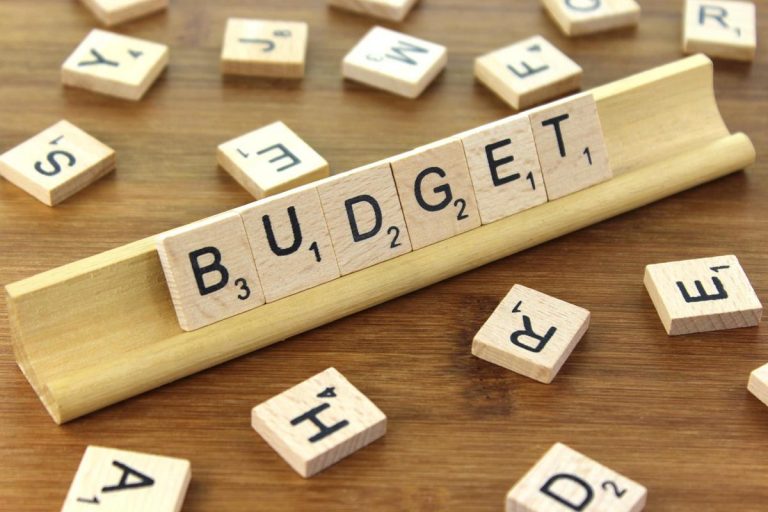 Govt. to present budget worth Rs8 trillion for FY22 on June 11