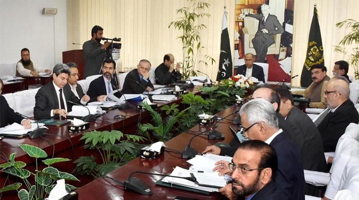 ECC decides to impose 10% regulatory duty on the import of cotton