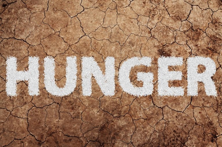 Pakistan’s ranking improves considerably in Global Hunger Index 2019