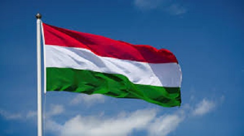 Local businessmen asked to exploit untapped trade potential of  Hungary