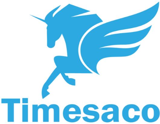 Timesaco to launch “Tatu Mobility” transportation network in Pakistan