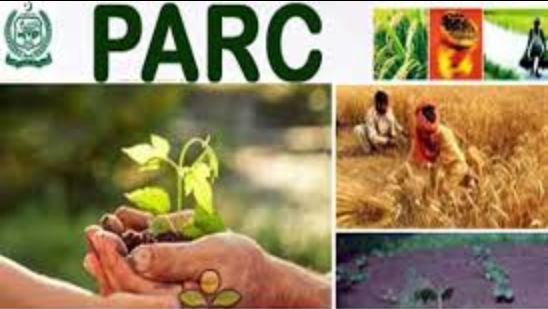 PARC to introduce about 200 national brands of different food products