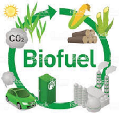 Petroleum division to hold national moot on bio fuel-clean energy