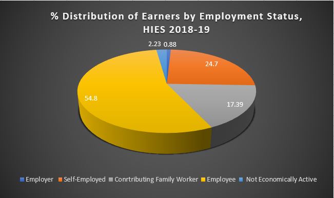 HIES 2018-19: Around 55 percent of working-age Pakistani are Paid Employee