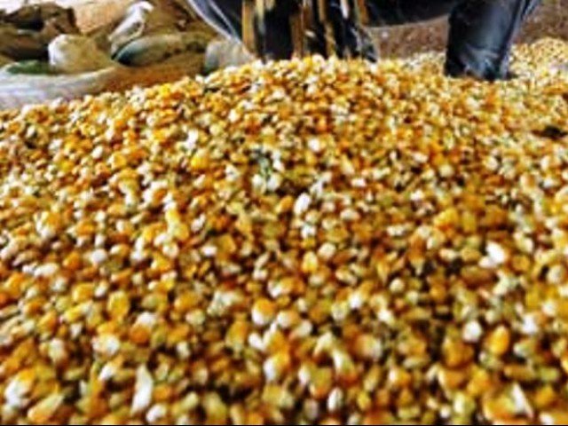 Govt urged to withdraw 17% ST on agriculture seeds