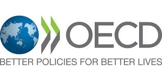 G20 economic growth slows to 0.7% in Q1: OECD