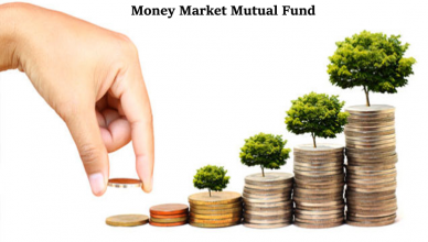 NBP money market mutual fund outshines its peers