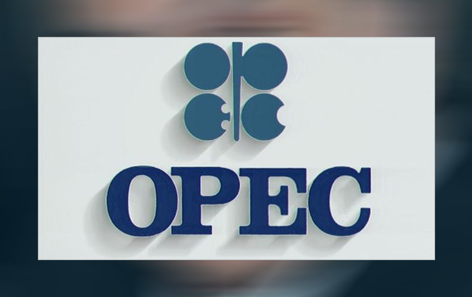 OPEC+ agrees small oil output rise despite Biden plea