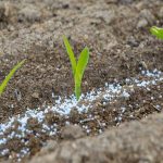 Fertilizer offtake decreases by 19.3% YoY in April 2023