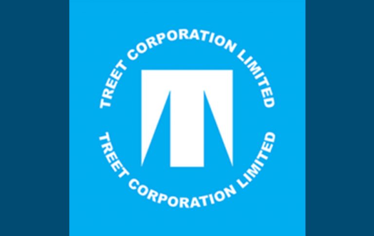 Treet Corporation faces loss of Rs267.4m in 1HFY24
