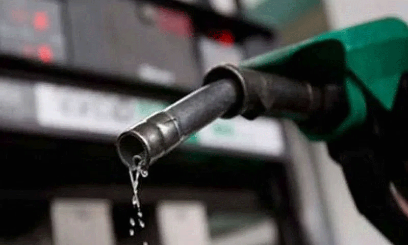 Govt hikes petrol prices by up to Rs35 per litre