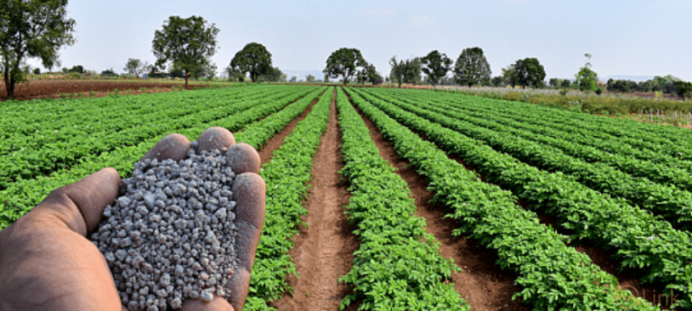 Fertilizer offtake declines by 26.4% YoY during Rabi 2022