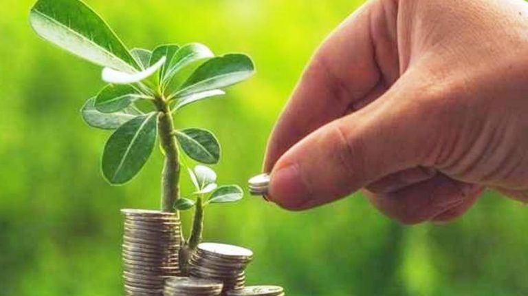 Banks disburse Rs664bn under agriculture loans: SBP