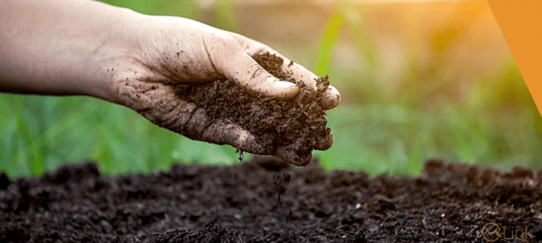 Fertilizer offtake increase by 44.7% YoY in December 2022