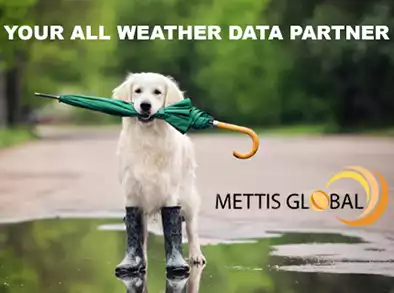 Mettis Global Ad 