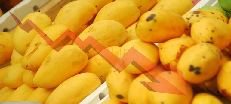 Mango Mayhem: Pakistan sets to record 20% drop in mango production