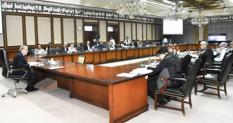 CCoP approves privatization of PIA