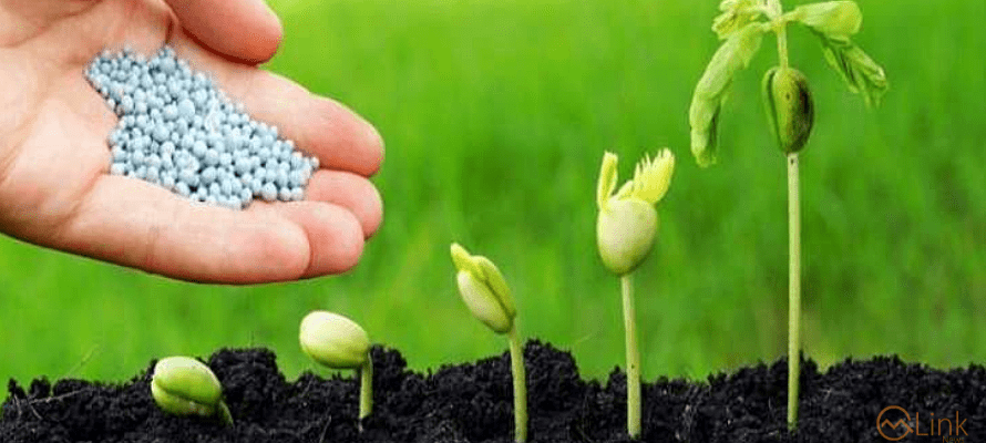 Impact of urea price increases on Fertilizer Sector’s EPS