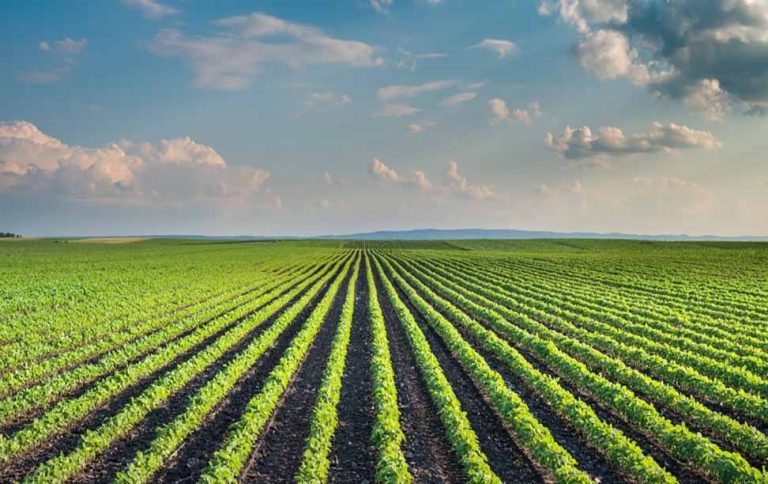 ECC empowers provinces to crackdown on fertilizer dealers overcharging farmers