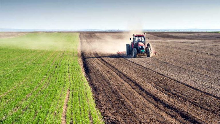 Fertilizer offtake drops 7.2% YoY in January’24