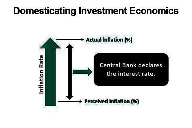Domesticating investment economics for forecasting of policy rate